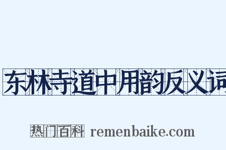 东林寺道中用韵反义词是什么意思的图片